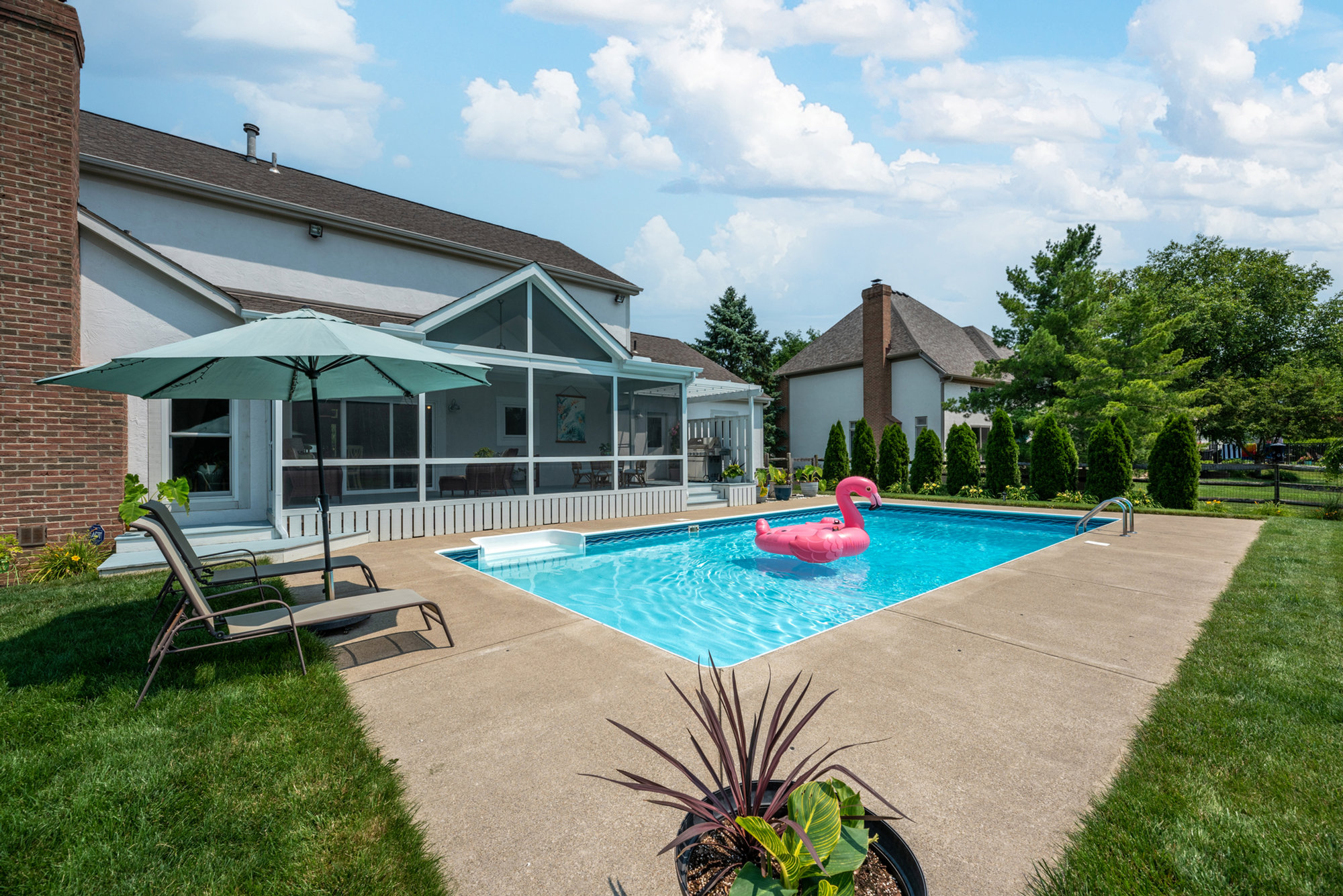 Swimming pool and shaded backyard